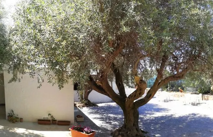 La Plaja * צ'פאלו